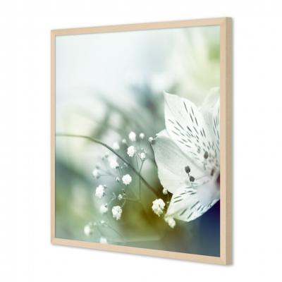 FLORES BLANCAS 276677