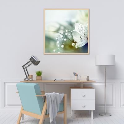 FLORES BLANCAS 276677