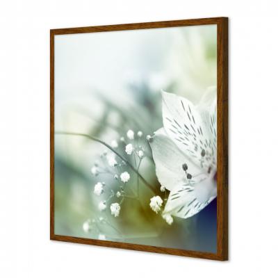 FLORES BLANCAS 276677