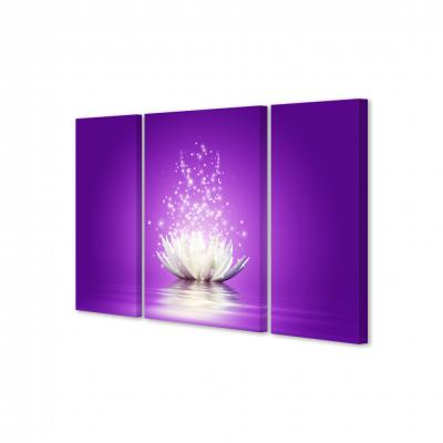FLOR MAGICA DE LOTO (TRIPTICO)