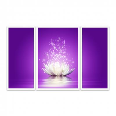 FLOR MAGICA DE LOTO (TRIPTICO)