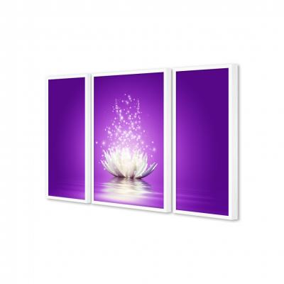 FLOR MAGICA DE LOTO (TRIPTICO)